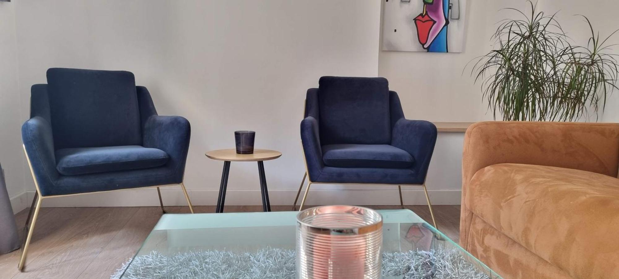 De Charme Au Coeur De La Vieille Appartement Annecy